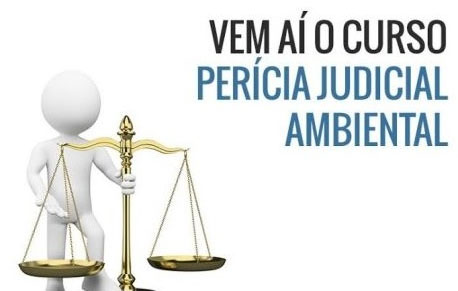 pericia judicial