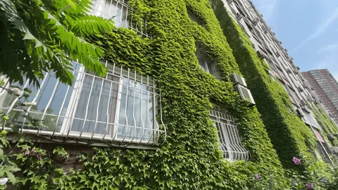 Fachada sustentável